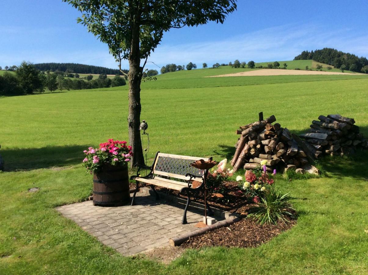 Appartement Haus Friederike Ab 6 Uebernachtungen, Inclusive Meine Card Willingen (Upland)